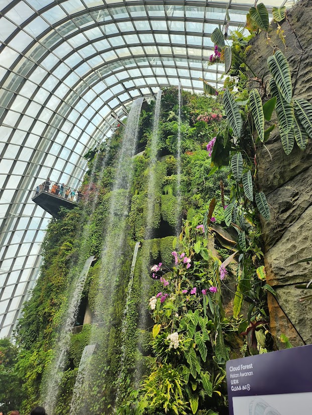 Tall indoor waterfall surrounded by tropical planting at Cloud Forest