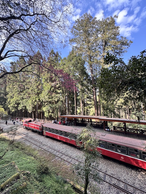 Red train waiting at a forest railway station in Alishan