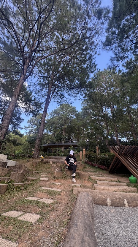 A trail beneath the pine trees in Baguio