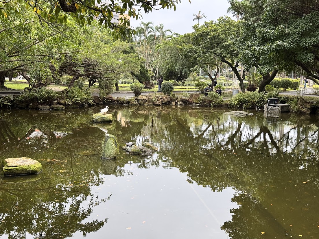 Pond and greenery in a Taipei park