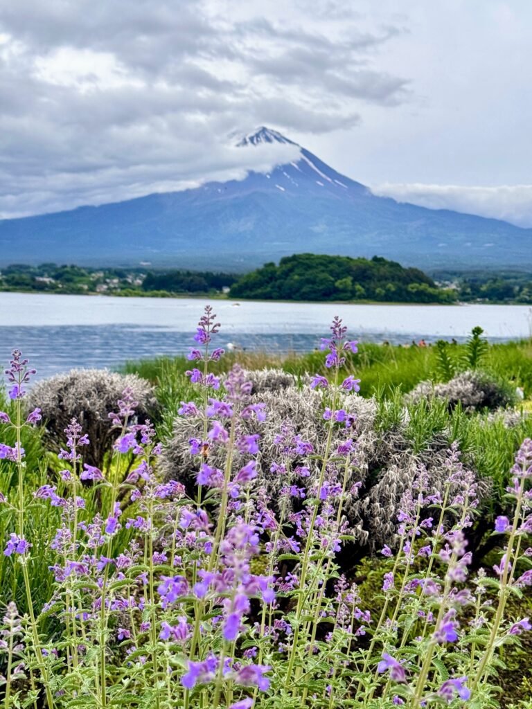 MT Fuji