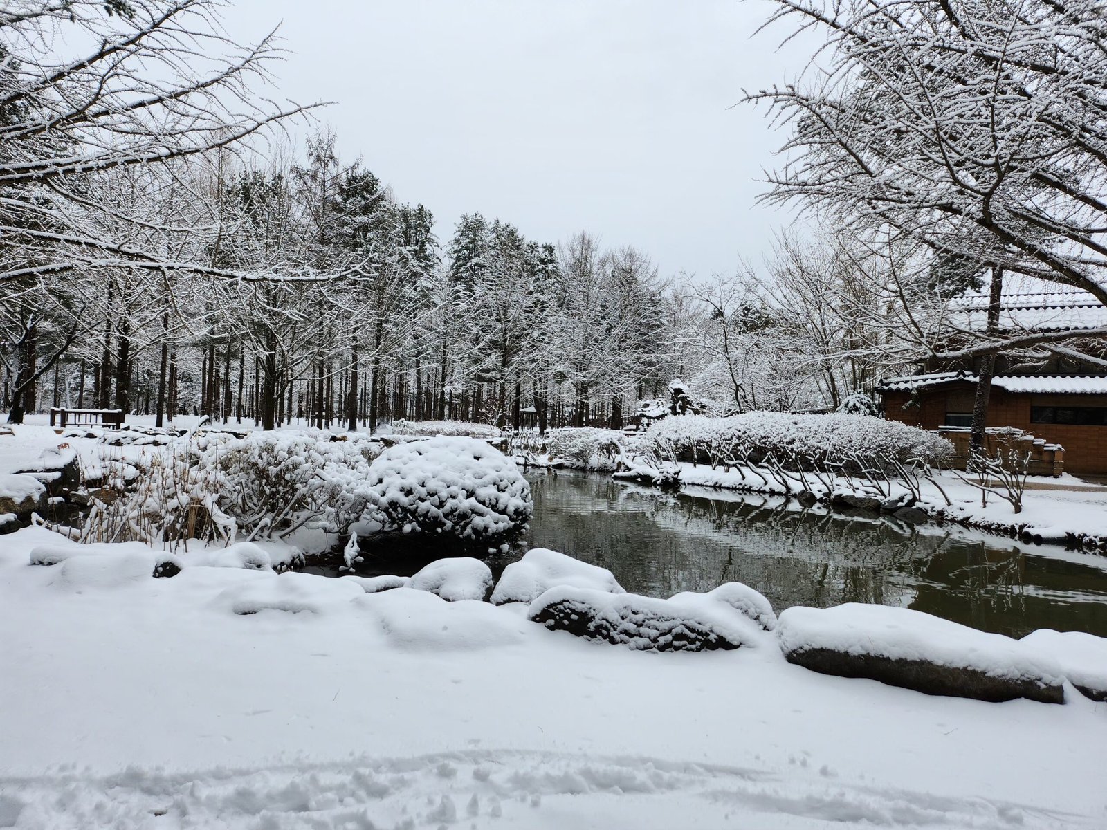 Snow-covered garden on Nami Island in South Korea
