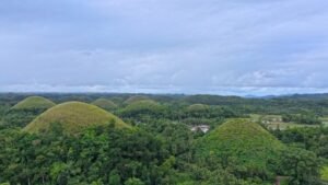 View of the Chocolate Hills surrounded by lush greenery in Bohol, Philippines
