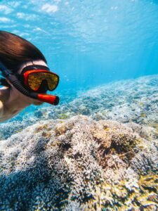 Snorkeling over coral reefs during an island hopping tour in Bohol
