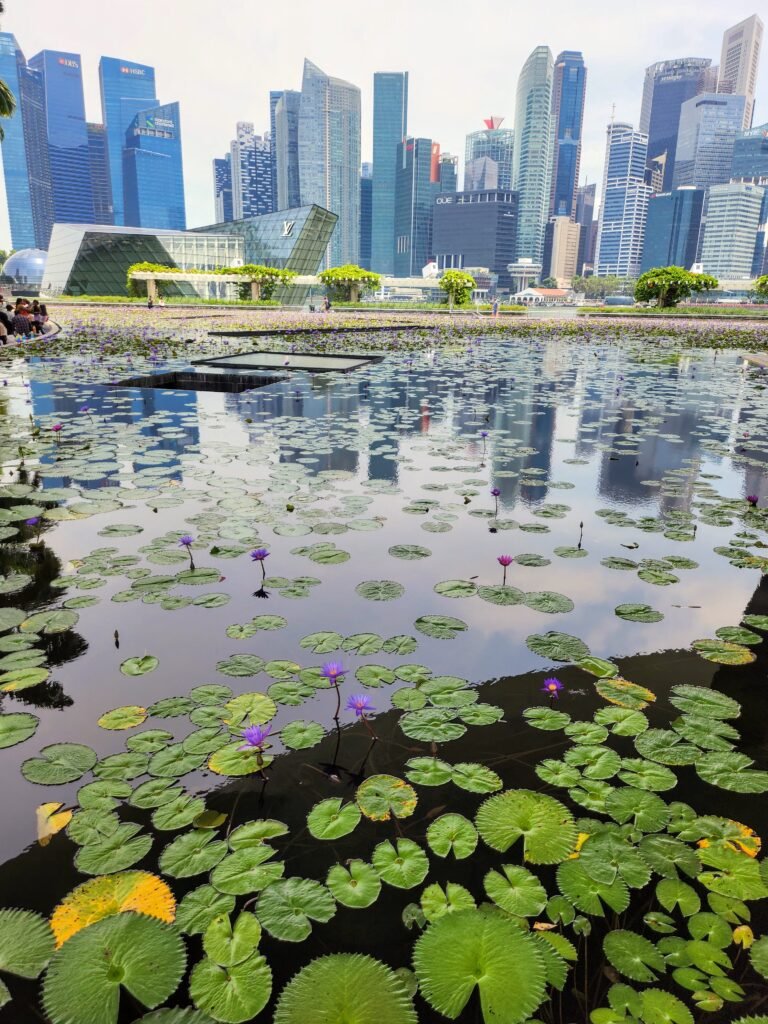 Singapore skyline from Marina Bay with lily pond and Louis Vuitton Crystal Pavilion