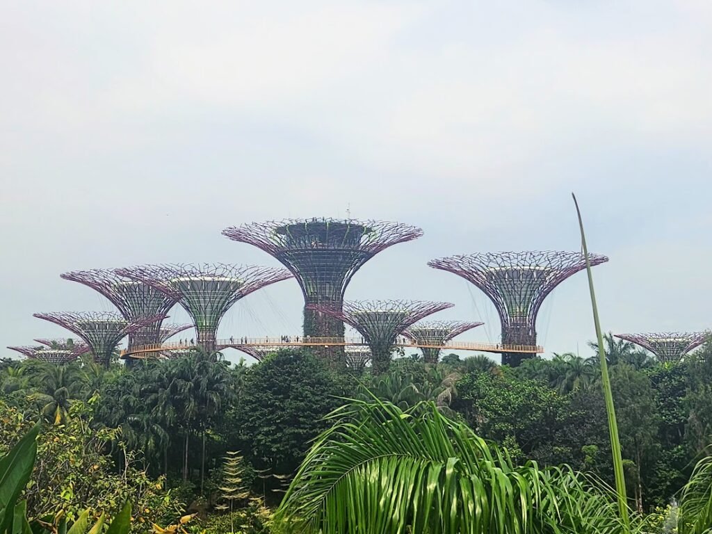 Gardens by the Bay Supertree Grove in Singapore Gardens by the Bay Supertree Grove in Singapore