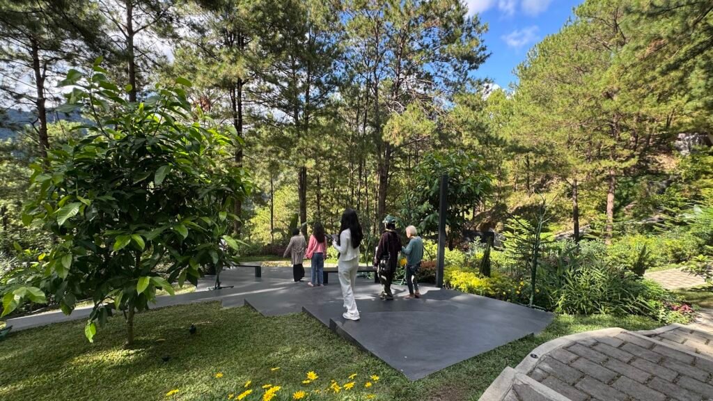 Visitors strolling through a garden surrounded by pine trees.