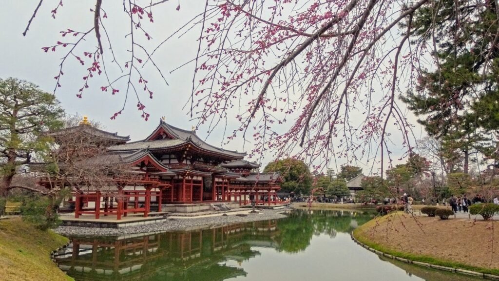 Byodo-in Temple reflected on the pond with early cherry blossom branches in Kyoto, Japan.