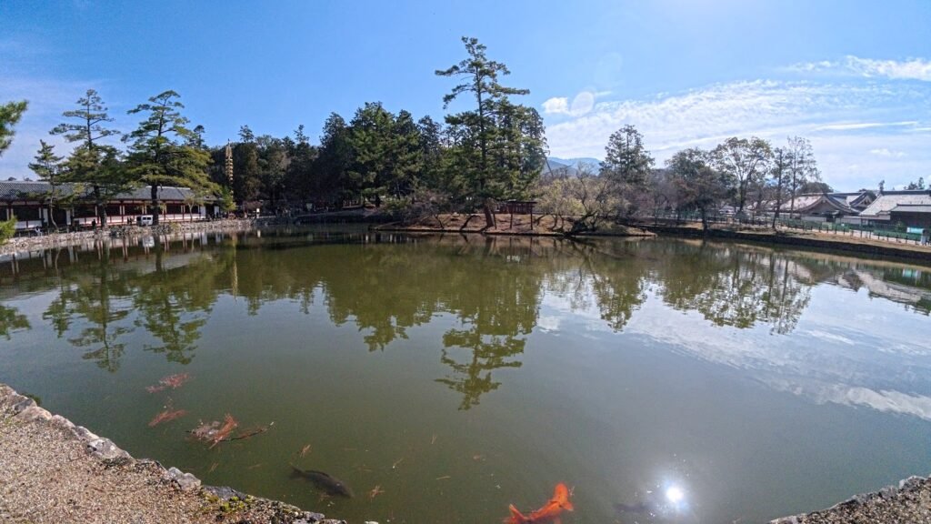 Sarusawa Pond surrounded by trees and traditional buildings in Nara, Japan.