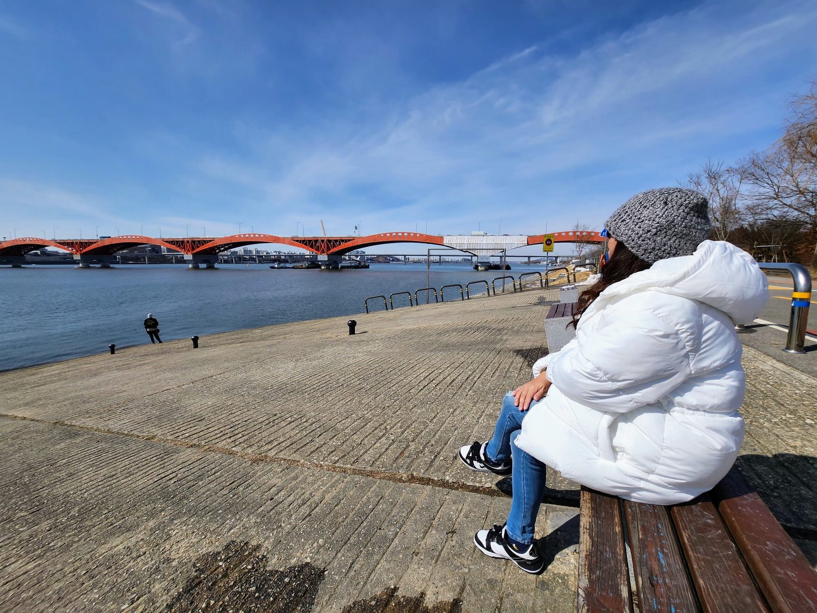 Han River view in Seoul South Korea
