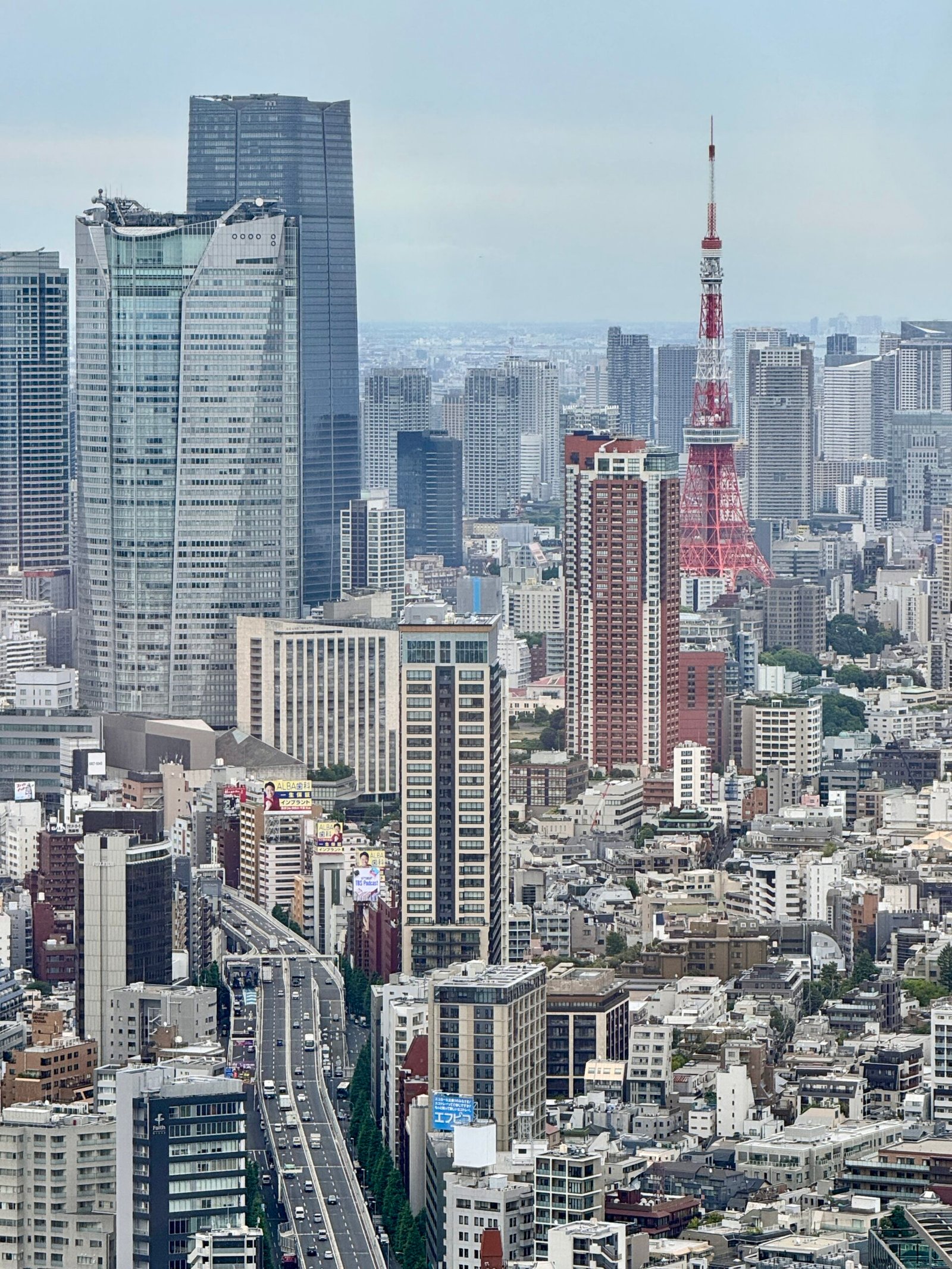 Birds eye view of Tokyo for Asia itinerary planning