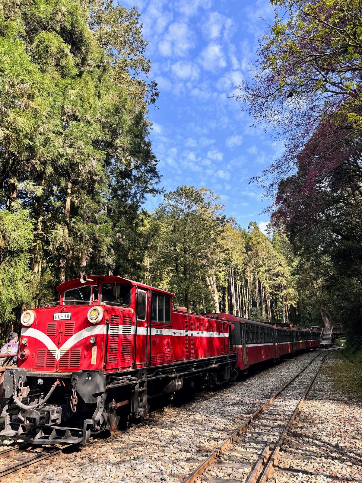 Alishan Taiwan mountain view for a multi-city Asia trip