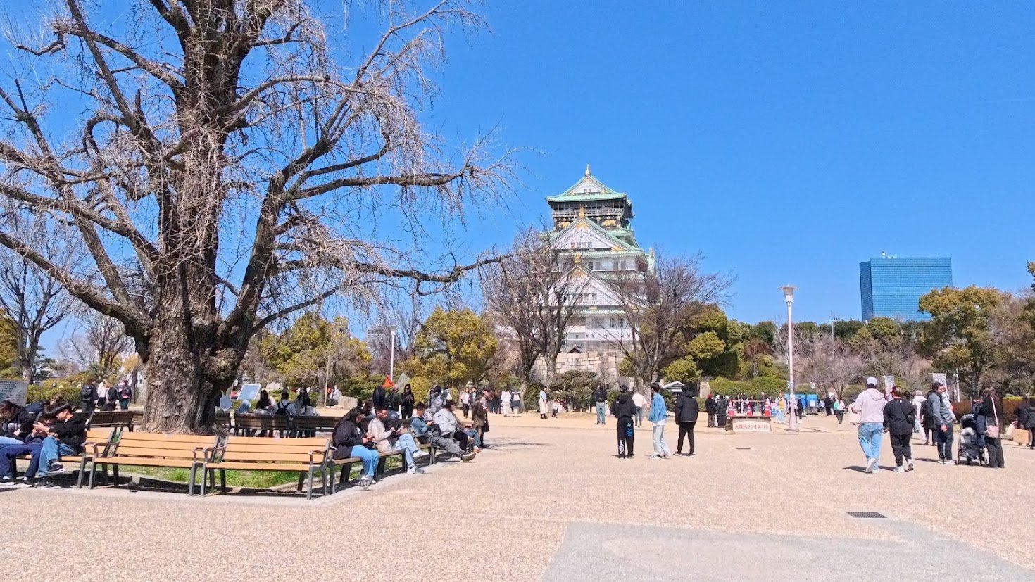 Osaka Castle viewed from the park